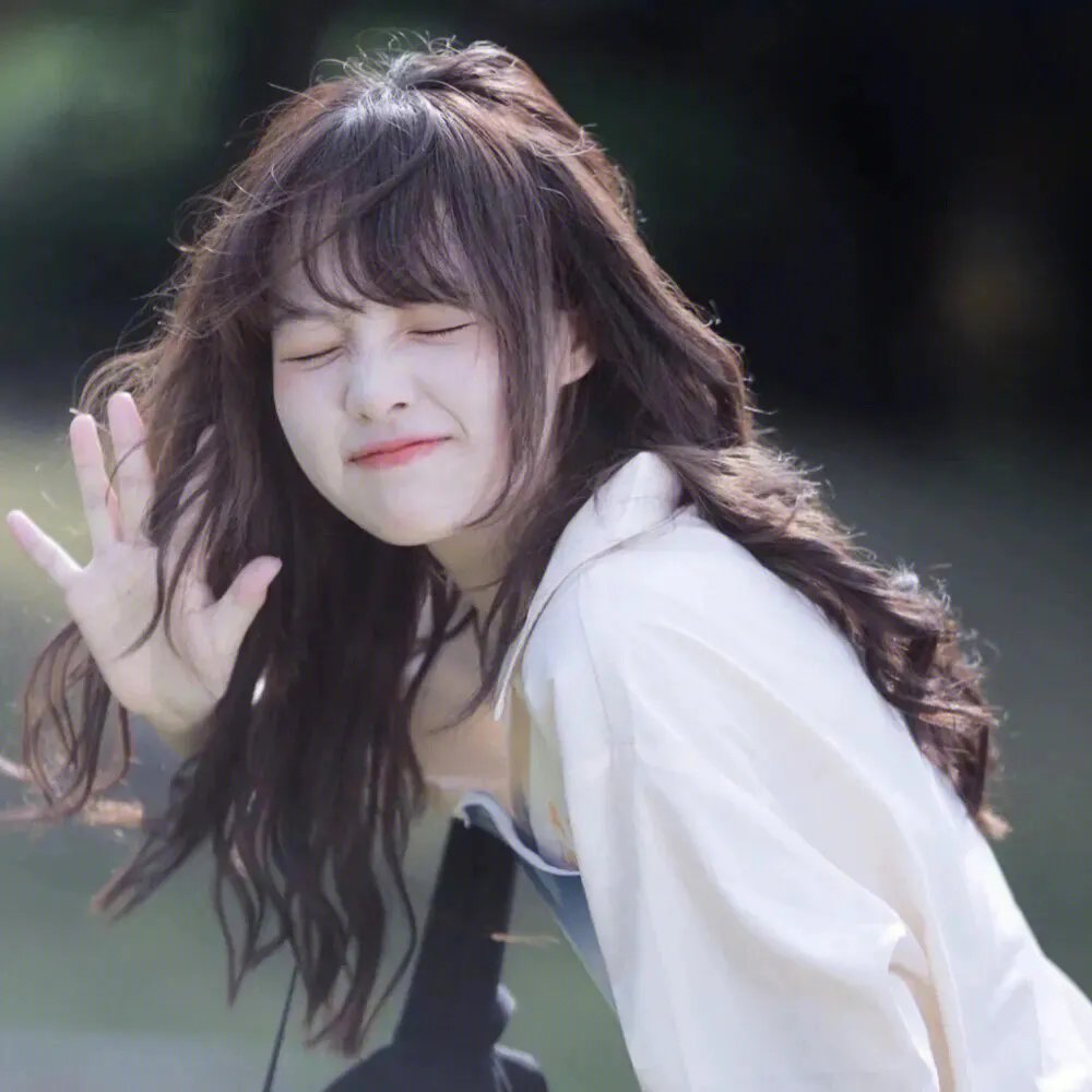 天堂岛疑云第五季